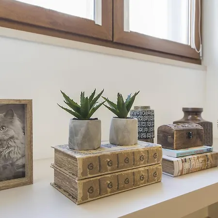 Downtown 2bedroom Wonder